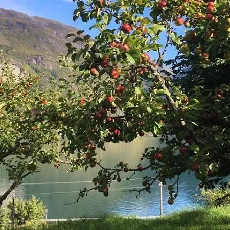 In Oppstryn * Stryn